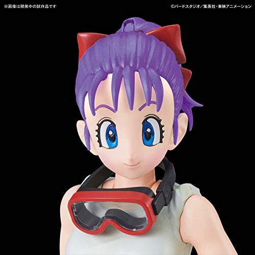 Dragon Ball - Bulma - Figure-rise Mechanics - Bulma's Variable No.19 Bike (Bandai Spirits)